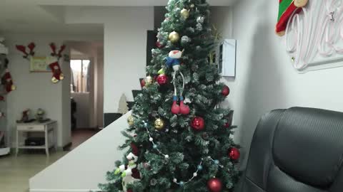  Zafiro  ILL BROADCAST UNTIL DECEMBER  Onlyfans  online show from 11-17-25, 12:33