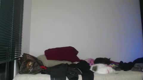Snapshot of queennicky88 chatting on 01-02-25, 03:15 Nico online show from 01-02-25, 03:15