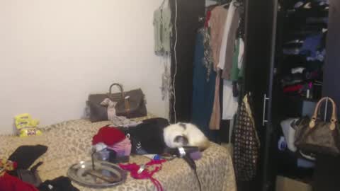 Snapshot of queennicky88 chatting on 02-13-25, 04:00 Nico online show from 02-13-25, 04:00
