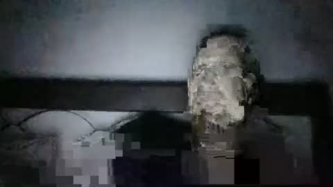 qwezxcqweasdzxc online show from 10-23-25, 02:44