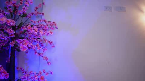 Snapshot of r4veenn chatting on 01-11-25, 08:00 RACHEL BLAKE online show from 01-11-25, 08:00