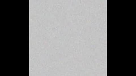 Rabbit Snake online show from 11-19-25, 02:33