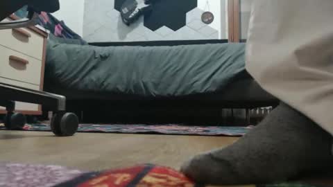 Raccoon68 online show from 12-20-25, 07:32