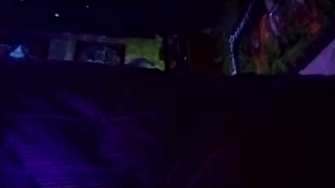 radliksu online show from 01-05-25, 09:05