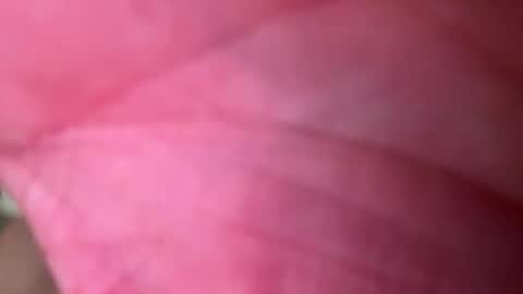 Snapshot of ragerd420 chatting on 02-24-26, 11:14 ragerd420 online show from 02-24-26, 11:14