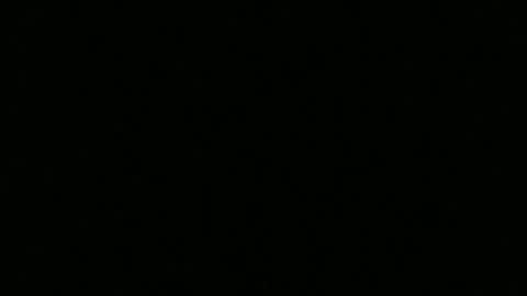 hornybluecollar online show from 12-10-24, 12:39