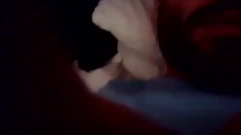 rago1994 online show from 10-05-25, 03:54