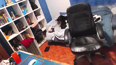 ravingr3d3 online show from 02-02-26, 11:25