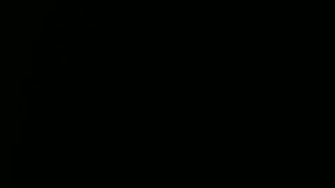 Snapshot of raysmith77777777 chatting on 12-29-24, 03:57 Ray online show from 12-29-24, 03:57