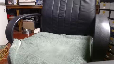 Snapshot of raysmith77777777 chatting on 12-31-24, 12:11 Ray online show from 12-31-24, 12:11