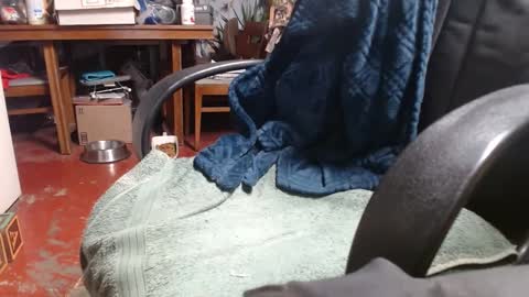 Snapshot of raysmith77777777 chatting on 01-01-25, 01:04 Ray online show from 01-01-25, 01:04