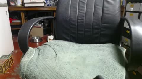 Snapshot of raysmith77777777 chatting on 01-01-25, 04:07 Ray online show from 01-01-25, 04:07