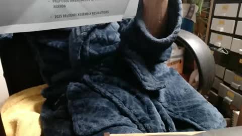 Snapshot of raysmith77777777 chatting on 11-23-25, 03:39 Ray online show from 11-23-25, 03:39