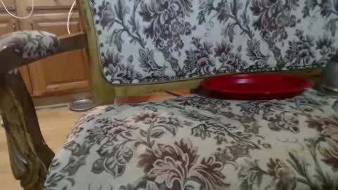 Snapshot of raysmith77777777 chatting on 02-01-26, 05:50 Ray online show from 02-01-26, 05:50