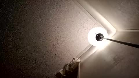 razalgirls online show from 11-15-25, 03:48