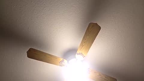 red24devils online show from 12-03-25, 05:04