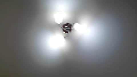 Snapshot of red_fox777 chatting on 02-12-26, 01:17 Lisa online show from 02-12-26, 01:17