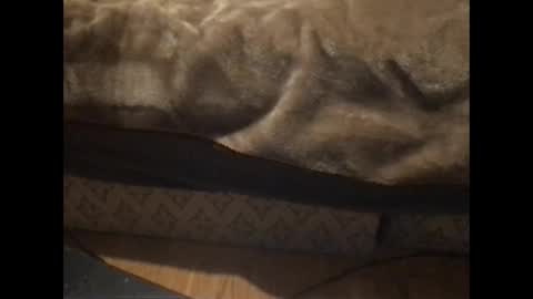 Redfox online show from 01-05-26, 05:38