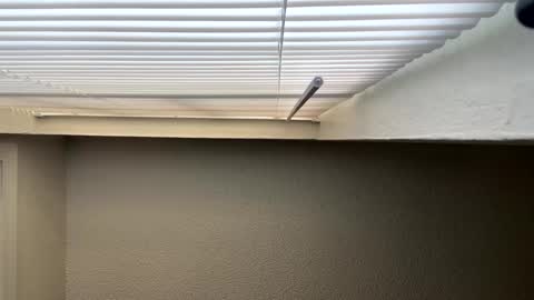 Snapshot of redsoilclay chatting on 09-27-25, 10:48 redsoilclay online show from 09-27-25, 10:48