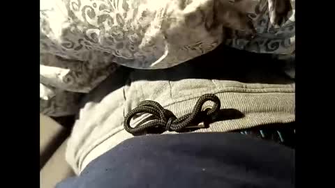 Snapshot of reedy123456789 chatting on 10-22-25, 09:20 reedy123456789 online show from 10-22-25, 09:20