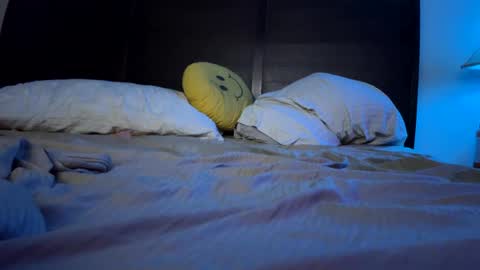 Snapshot of reeferleefer chatting on 01-01-25, 06:26 Lee online show from 01-01-25, 06:26