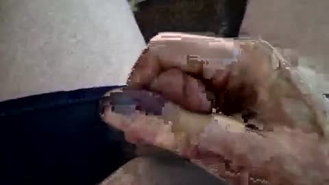 reggie007007 online show from 02-16-26, 01:29