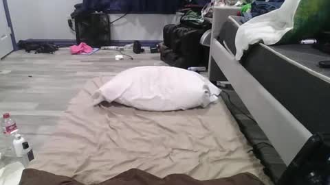 Snapshot of remshotdt chatting on 02-24-25, 04:26 remshotdt online show from 02-24-25, 04:26