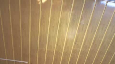 renaxi_smith online show from 02-22-26, 07:34