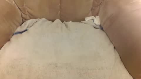 Snapshot of rexxarr chatting on 03-22-26, 08:07 Mark online show from 03-22-26, 08:07