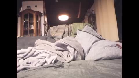 Rey online show from 01-05-26, 09:51