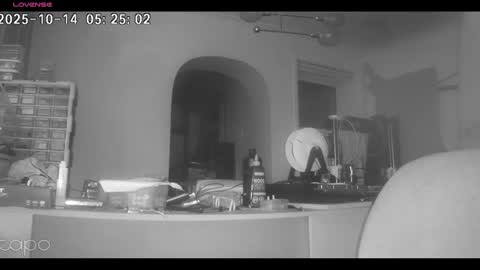 Snapshot of reza240782 chatting on 10-14-25, 04:24 reza240782 online show from 10-14-25, 04:24