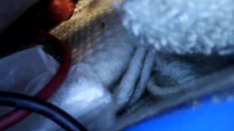 Snapshot of rgglen986 chatting on 02-14-26, 02:36 rgglen986 online show from 02-14-26, 02:36