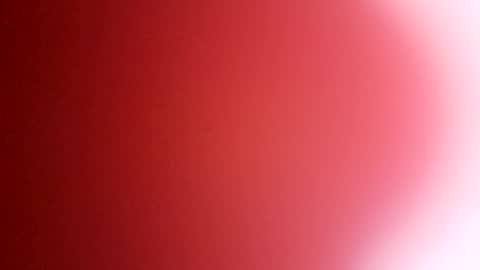 rhino69xx online show from 12-08-24, 06:54