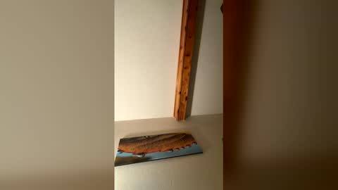 RhinoDickasaurus online show from 12-17-25, 07:58