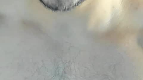 ricardogonzalez666 online show from 12-10-24, 04:24