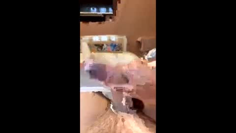 Snapshot of richmondal83 chatting on 10-22-25, 03:01 richmondal83 online show from 10-22-25, 03:01