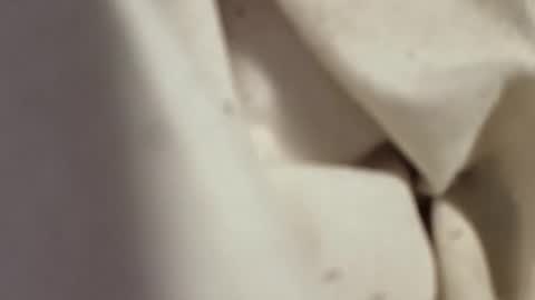 rickeyjess online show from 11-22-25, 02:10