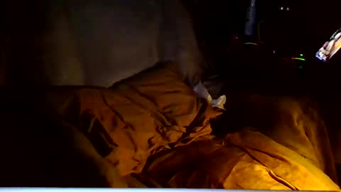 Snapshot of ricks4fun chatting on 03-06-26, 04:53 PINK HOLE TWINK online show from 03-06-26, 04:53