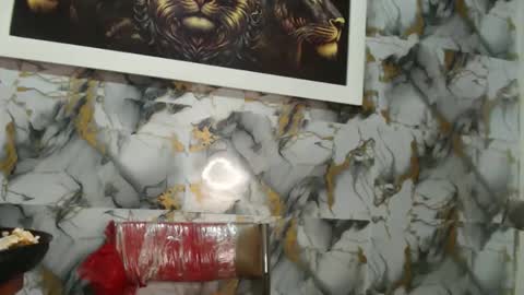 Snapshot of rigel_paxs chatting on 11-20-25, 08:30 rigel online show from 11-20-25, 08:30