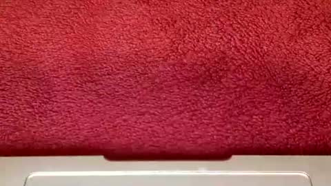 Snapshot of rimalovar chatting on 10-25-25, 06:32 rimalova online show from 10-25-25, 06:32