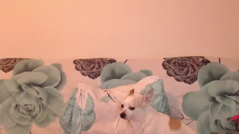 Snapshot of riri_mojo_92 chatting on 11-25-25, 10:32 riri_mojo_92 online show from 11-25-25, 10:32