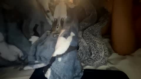 Snapshot of roarmance1 chatting on 10-30-25, 05:35 roarmance1 online show from 10-30-25, 05:35