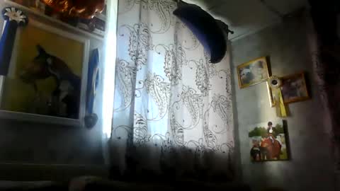 Snapshot of rob18997 chatting on 11-16-25, 10:54 rob18997 online show from 11-16-25, 10:54