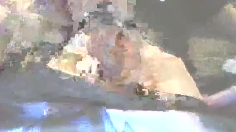 Snapshot of robertharley chatting on 12-02-25, 11:04 robertharley online show from 12-02-25, 11:04