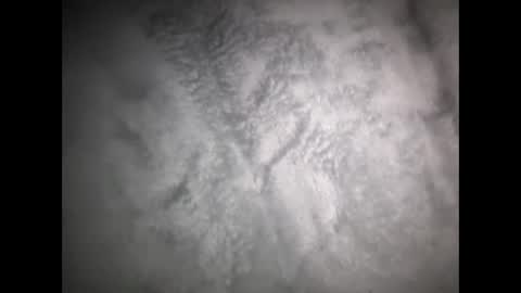 robertsaiz4200 online show from 03-15-26, 08:31