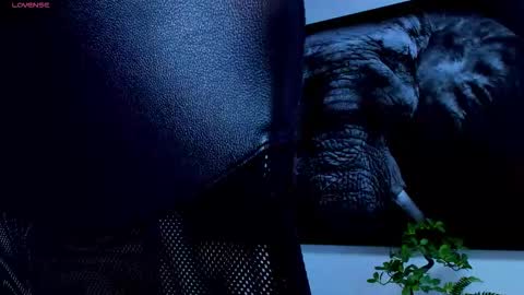 santos online show from 02-25-26, 06:01