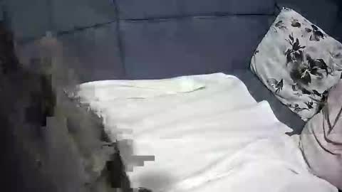 Snapshot of roccosan chatting on 10-04-25, 06:17 roccosan online show from 10-04-25, 06:17