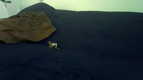 Mr. Red online show from 02-25-26, 10:19