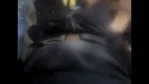 Snapshot of rollino83 chatting on 11-06-25, 10:38 rollino83 online show from 11-06-25, 10:38