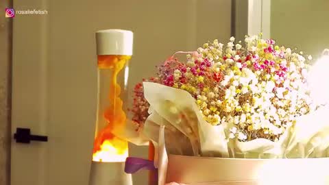 Rosalie online show from 12-20-25, 02:18